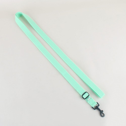 Daily leash _ Neo mint